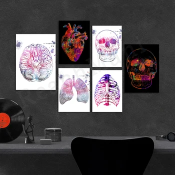 Srce, ljudski mozak, živčani sustav, lubanja, pluća, anatomija respiratornog sustava, акварельный print, medicinski umjetnosti, znanstveni poster
