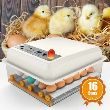 Mini-Брудер Mali Pilić Ptičje Jaje Inkubator Inkubatori Stroj Za Uzgoj Peradi i Jaja 16 Leženje za Prepelice Papagaj Patka, Golub