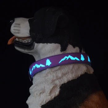 USB-Punjive led ogrlice za pse sa zaštitnim pozadinskim osvjetljenjem, sjajne ogrlice za pse, ogrlica za noćne šetnje male pse, Ogrlica za kućne ljubimce